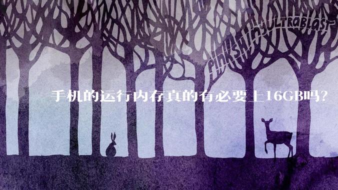 手机的运行内存真的有必要上16GB吗？